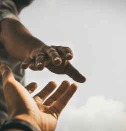 immigration-court-representation